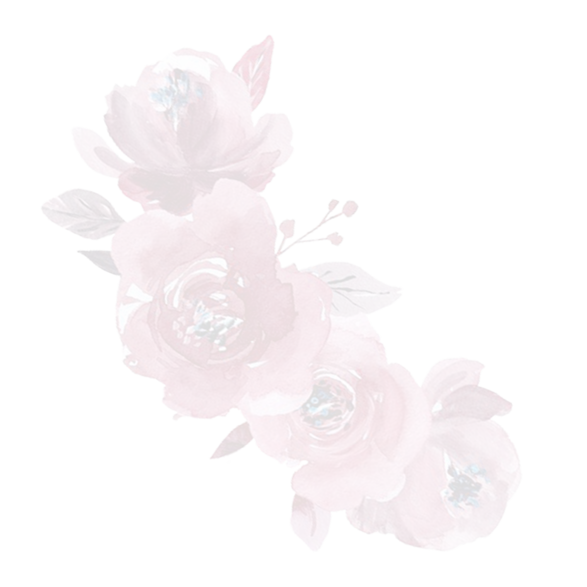 https://paulene-noelle.click/wp-content/uploads/2024/09/dfg.png