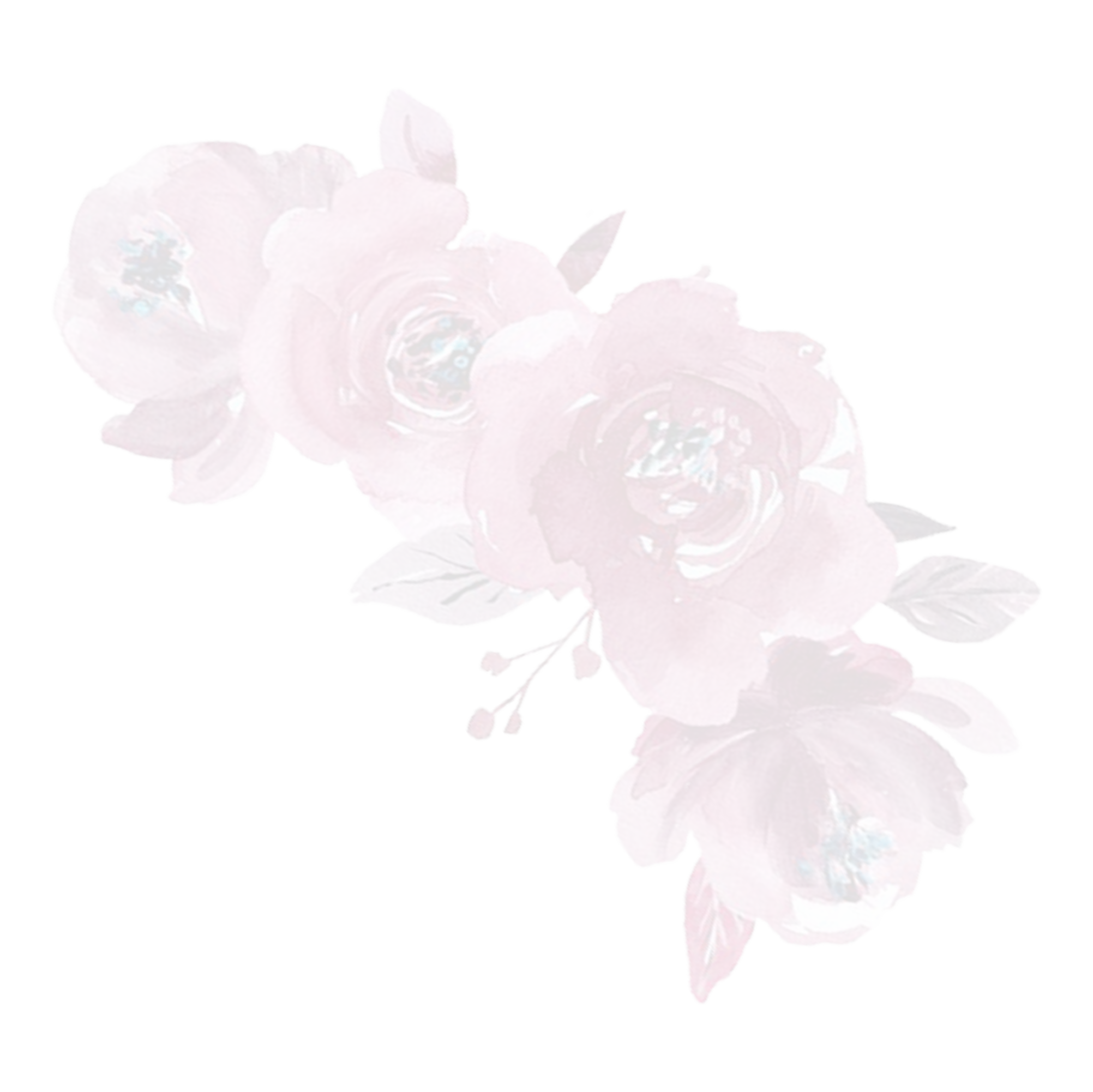 https://paulene-noelle.click/wp-content/uploads/2024/09/vbnvbnvb.png