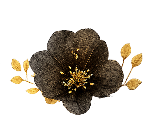 https://paulene-noelle.click/wp-content/uploads/2025/05/FLOR.png